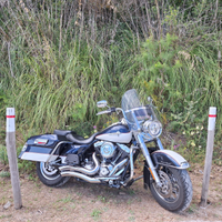 Harley Davidson Road King 103