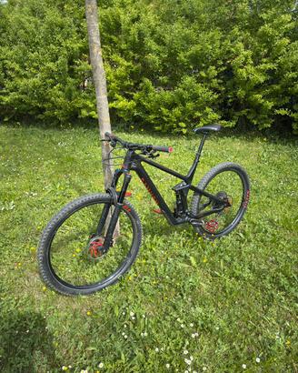 Canyon Strive Cf 7 2021 XL Custom