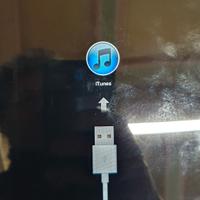 Apple Ipad 1 generazione wifi 3g 64gb 