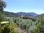 Immagine 24