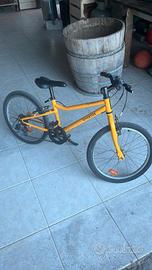 bicicletta riverside