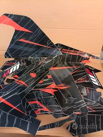 grafiche KTM 1190