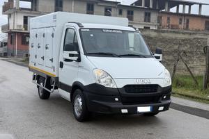 Daily 35s13 trasp gelati coldcar rrax - rrcx 2029