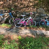 bici da  bambino bambina