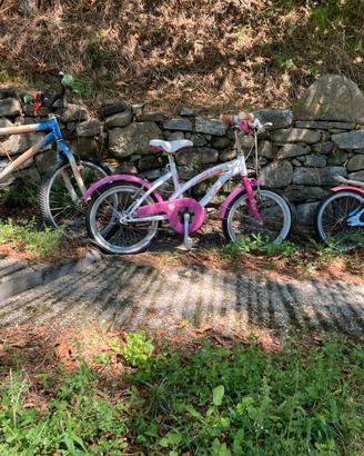 bici da  bambino bambina