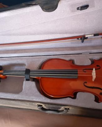 Viola mai usata