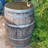 Botte in rovere 225L