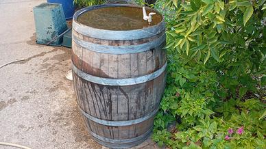 Botte in rovere 225L