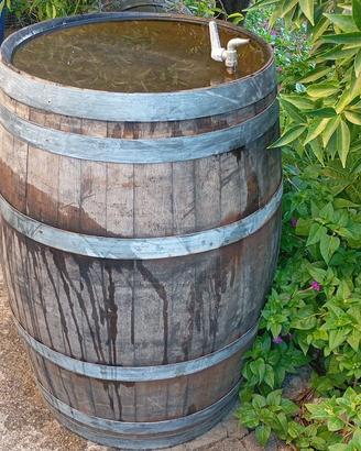 Botte in rovere 225L