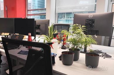 5/6 postazioni presso ufficio a milano