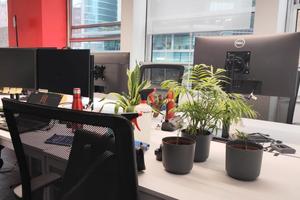 5/6 postazioni presso ufficio a milano