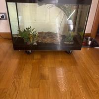 ACQUARIO ASKOLL PURE L NERO 68 LITRI