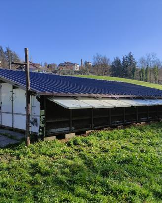 Pollaio professionale 250 galline ovaiole