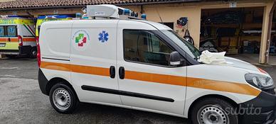 Fiat Doblò cargo trasporto sangue e emoderivati