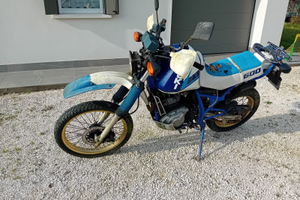 Suzuki DR600 Djebel