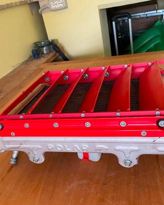 radiatore big polar by kg  kart