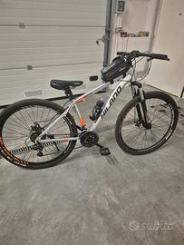 bicicletta