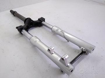 FORCELLA CON GRAFFI SU FODERI APRILIA SCARABEO LIG