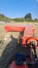 Imballatrice sgorbati