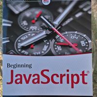 libro informatica JAVA SCRIPT