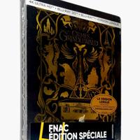 LES ANIMAUX FANTASTIQUES: LES CRIMES DE GRINDELWAL