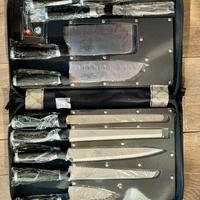 Set  coltelli professionali in acciaio inox con cu