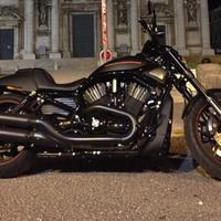 Harley V-rod