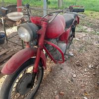 Moto Guzzi Lodola