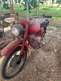 Moto Guzzi Lodola