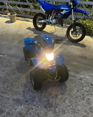 Mini Quad Atv Elaborato