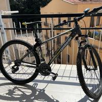 Bicicletta sestriere 130
