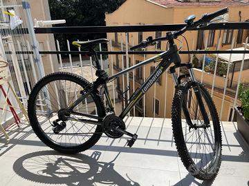 Bicicletta sestriere 130