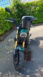 Benelli Leoncino 800