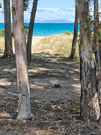Piccolo appartamento Villaggio Siena a Furnari