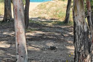 Piccolo appartamento Villaggio Siena a Furnari