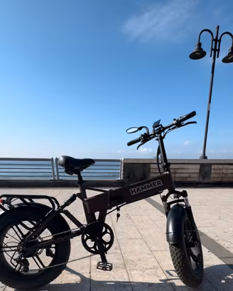 Bici elettrica