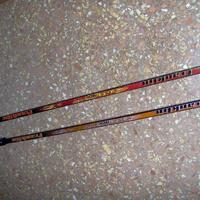 Mazze da hockej con disco