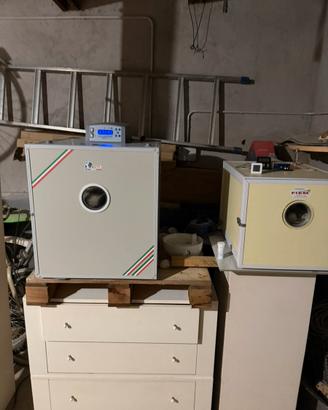 Incubatrice fiem mg140/200
