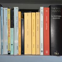 Lotto libri Moderni