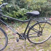 bici trekking RIVERSIDE 100