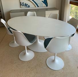 Tavolo Saarinen Knoll - sedie Tulip Knoll