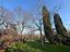 Immagine 10
