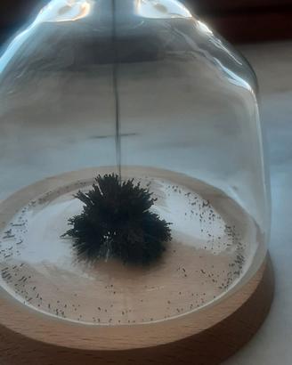 clessidra magnetica