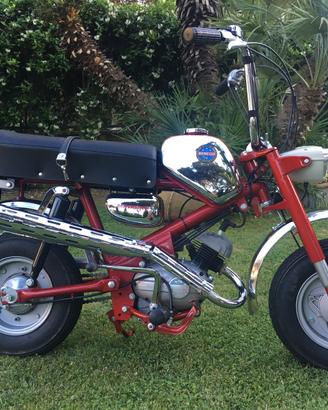 Benelli MiniBike 50cc