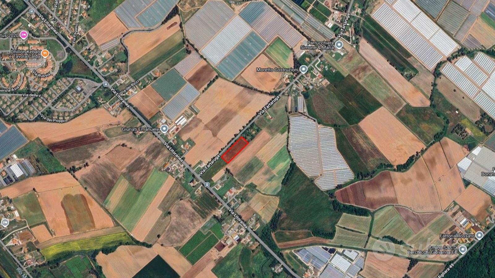 Sabaudia (LT) - Terreno 8.000 mq con pozzo | TR454 - Vista 5