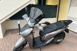 Sh 300 sport