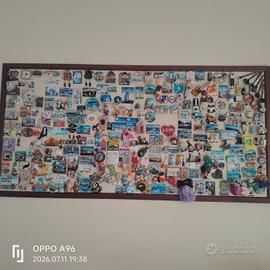 Calamite, quadro con calamite dal mondo