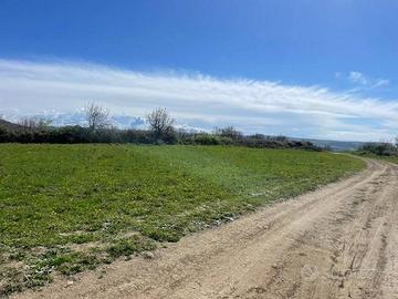 Terreno di 37050 m² a Trevignano Romano