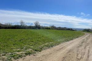Terreno di 37050 m² a Trevignano Romano
