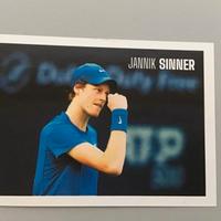 Figurina Esselunga Super Champions 153 Jannik Sinn